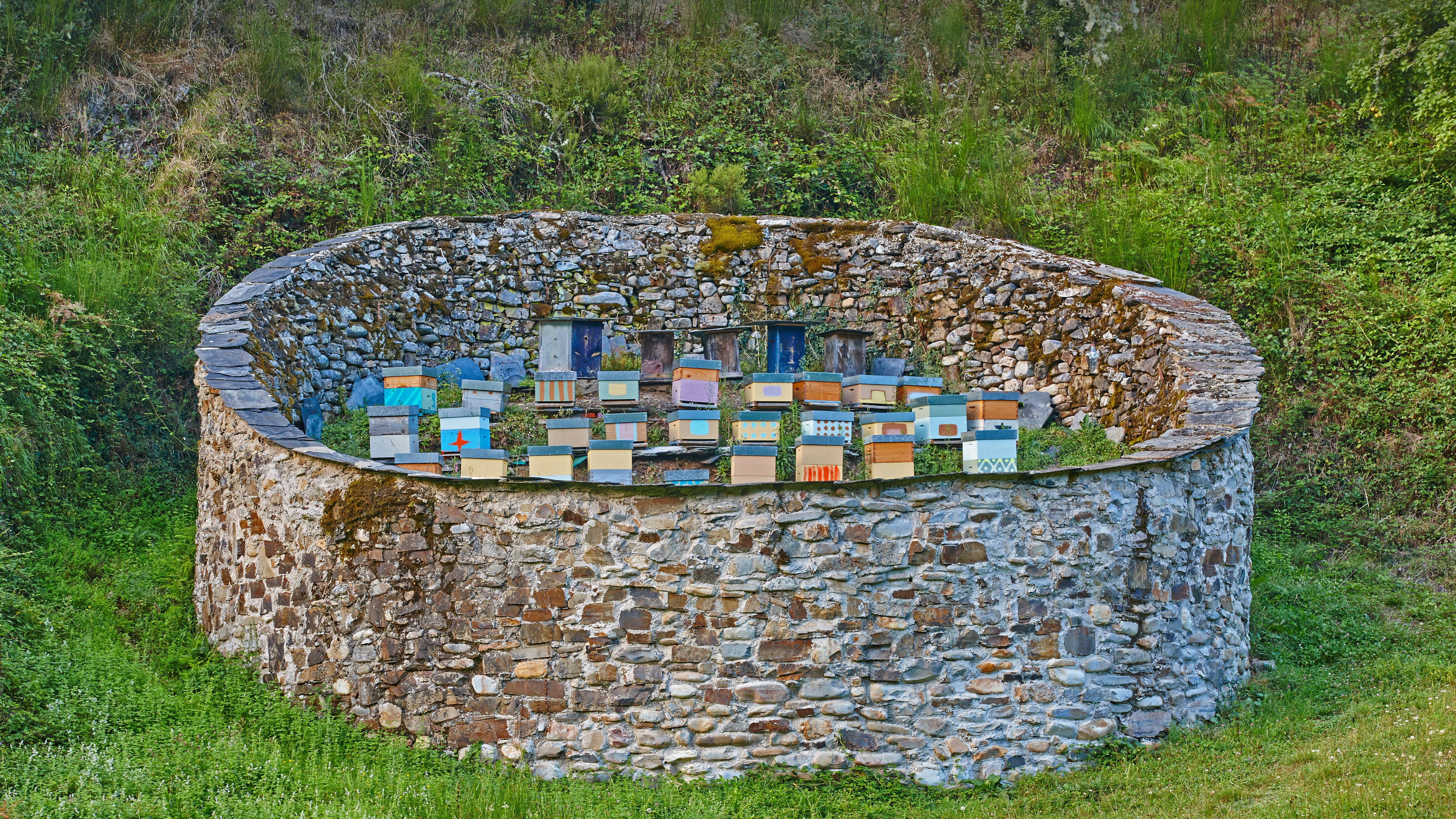 SENIOR POINT